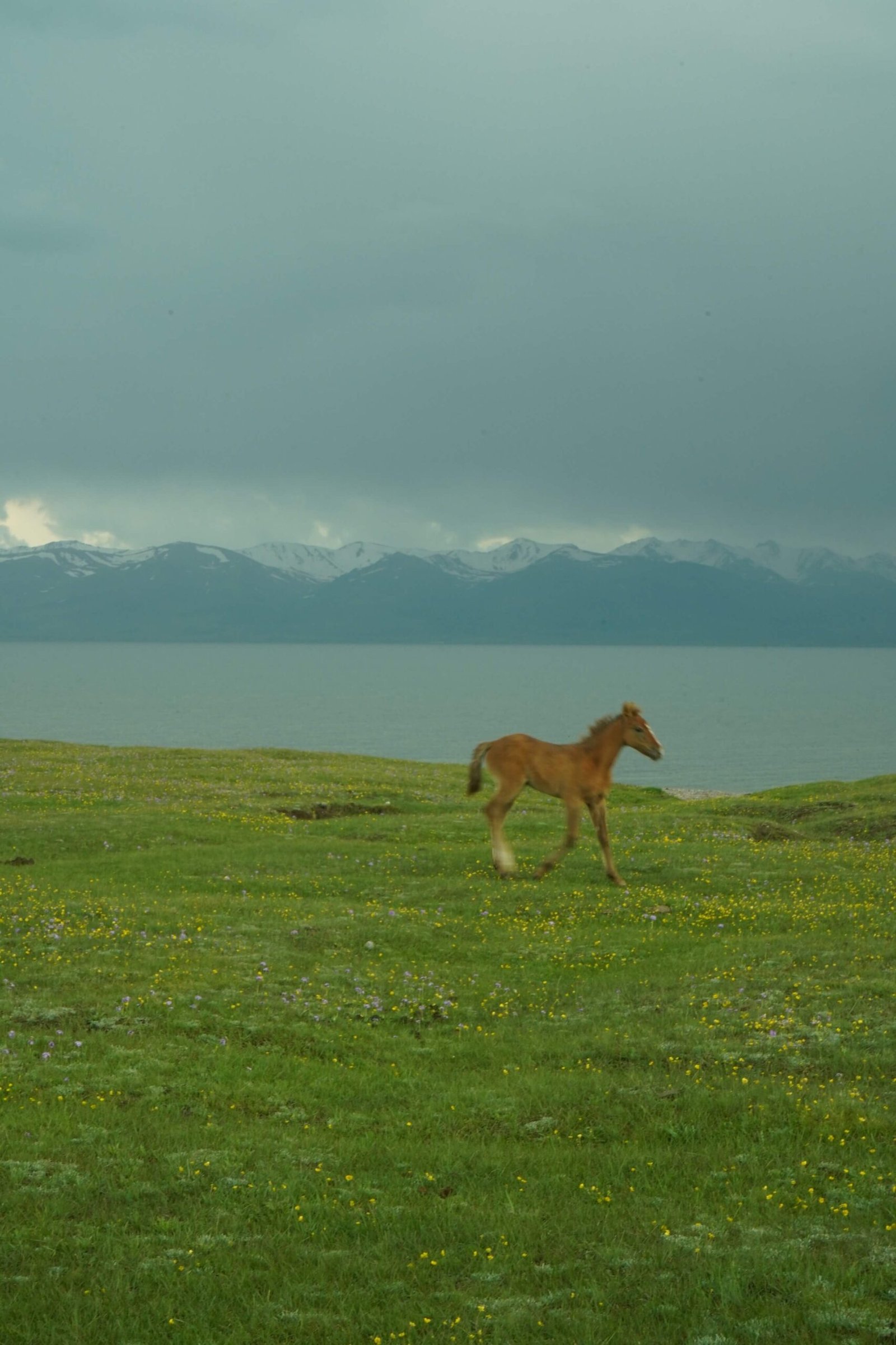 Grand Kyrgyzstan Expedition – 9 Day Road Trip