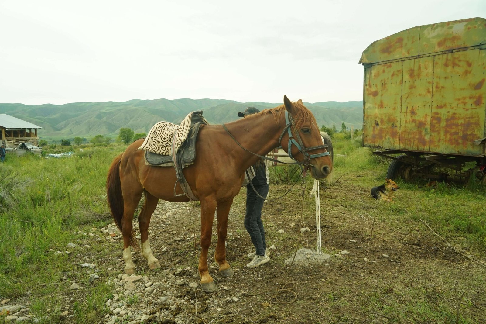 Grand Kyrgyzstan Expedition – 9 Day Road Trip photo 2