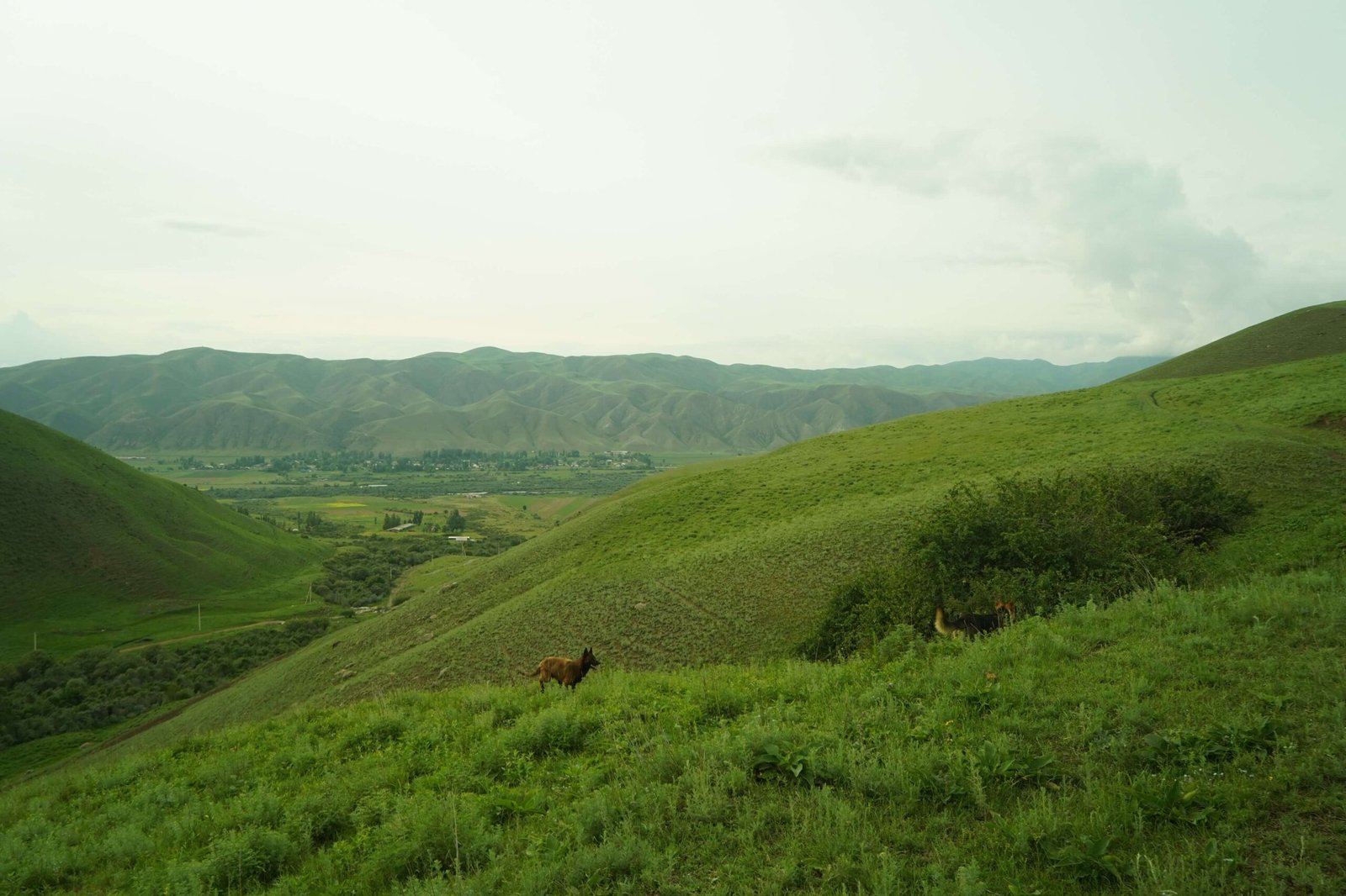 Grand Kyrgyzstan Expedition – 9 Day Road Trip photo 3