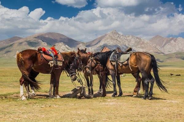 Song-Kol Horse Trek Express – 2 Days photo 4