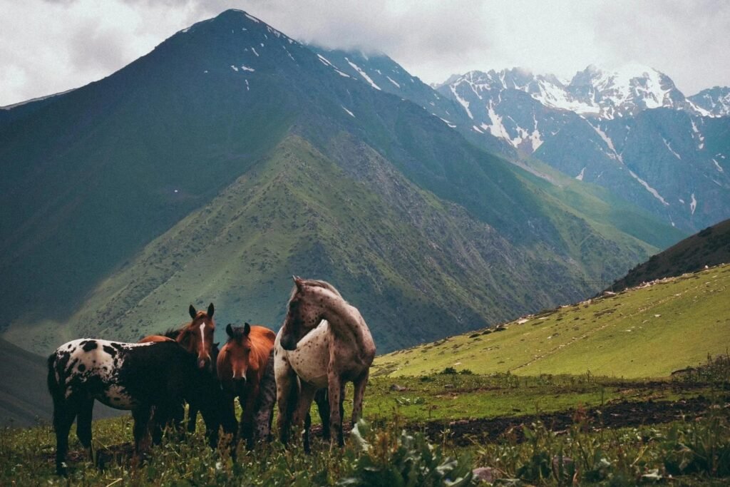 Song-Kol Horse Trek Express – 2 Days photo 5