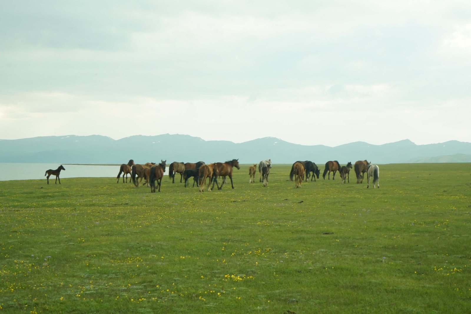 Authentic Kyrgyzstan – 5 Days photo 4