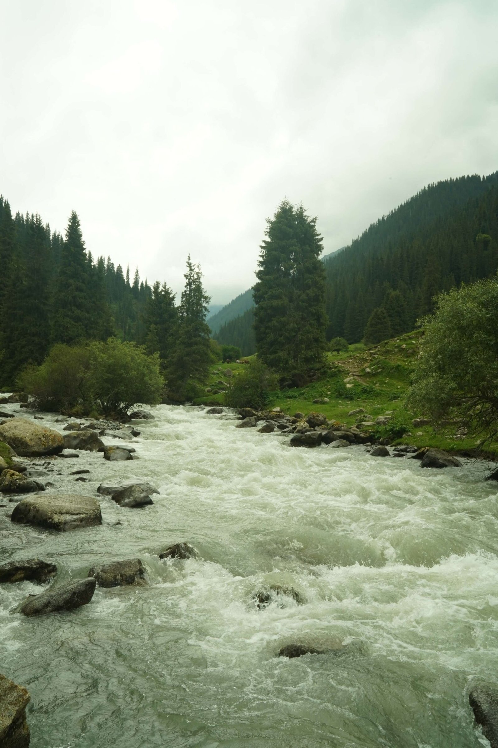 Nomadic Kyrgyzstan – 10 Days photo 4