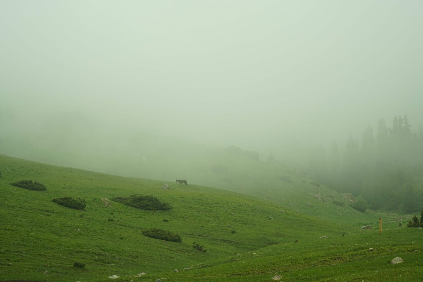 Nomadic Kyrgyzstan – 10 Days photo 5