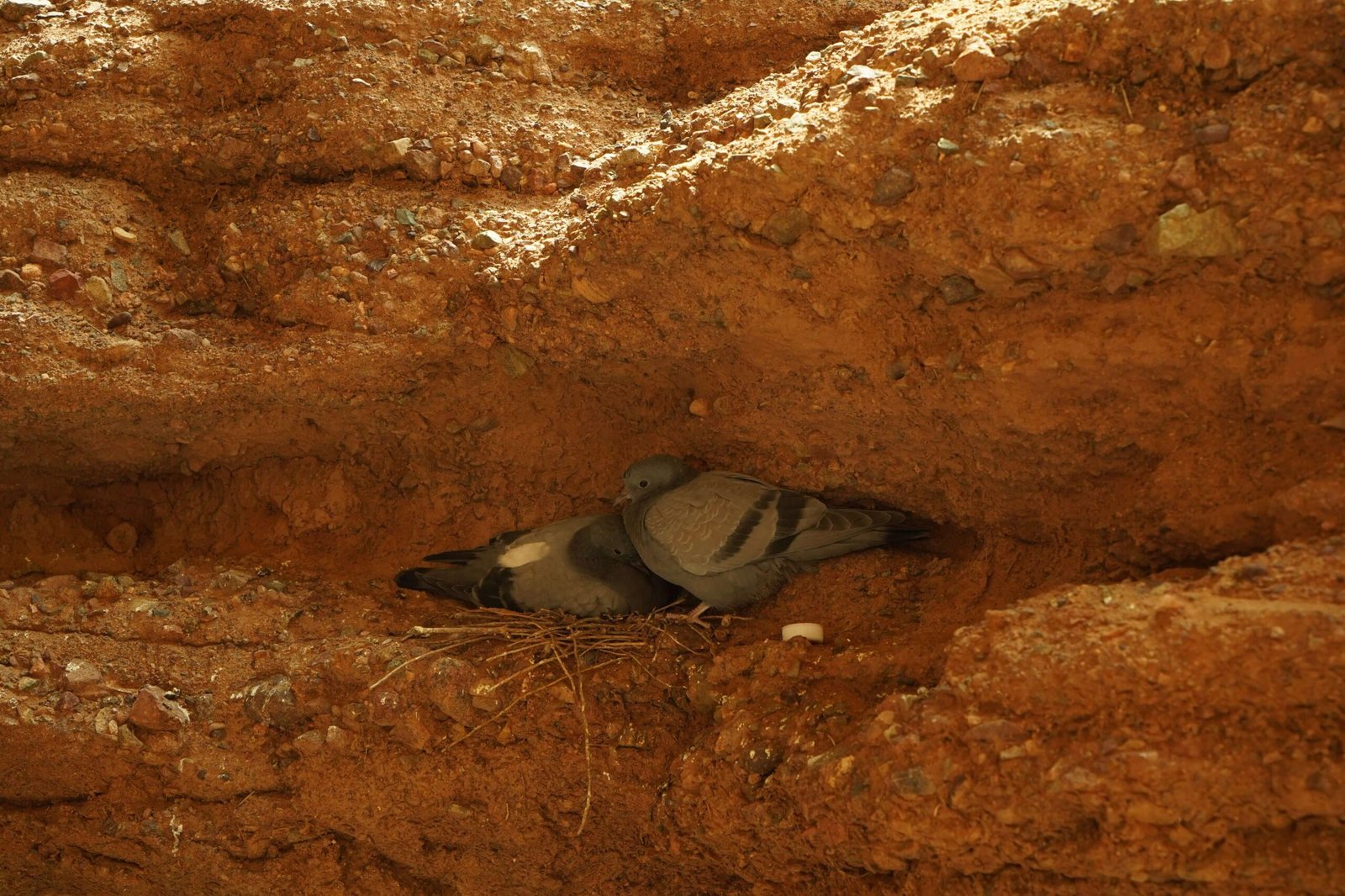 Fairy Tale Canyon photo 6