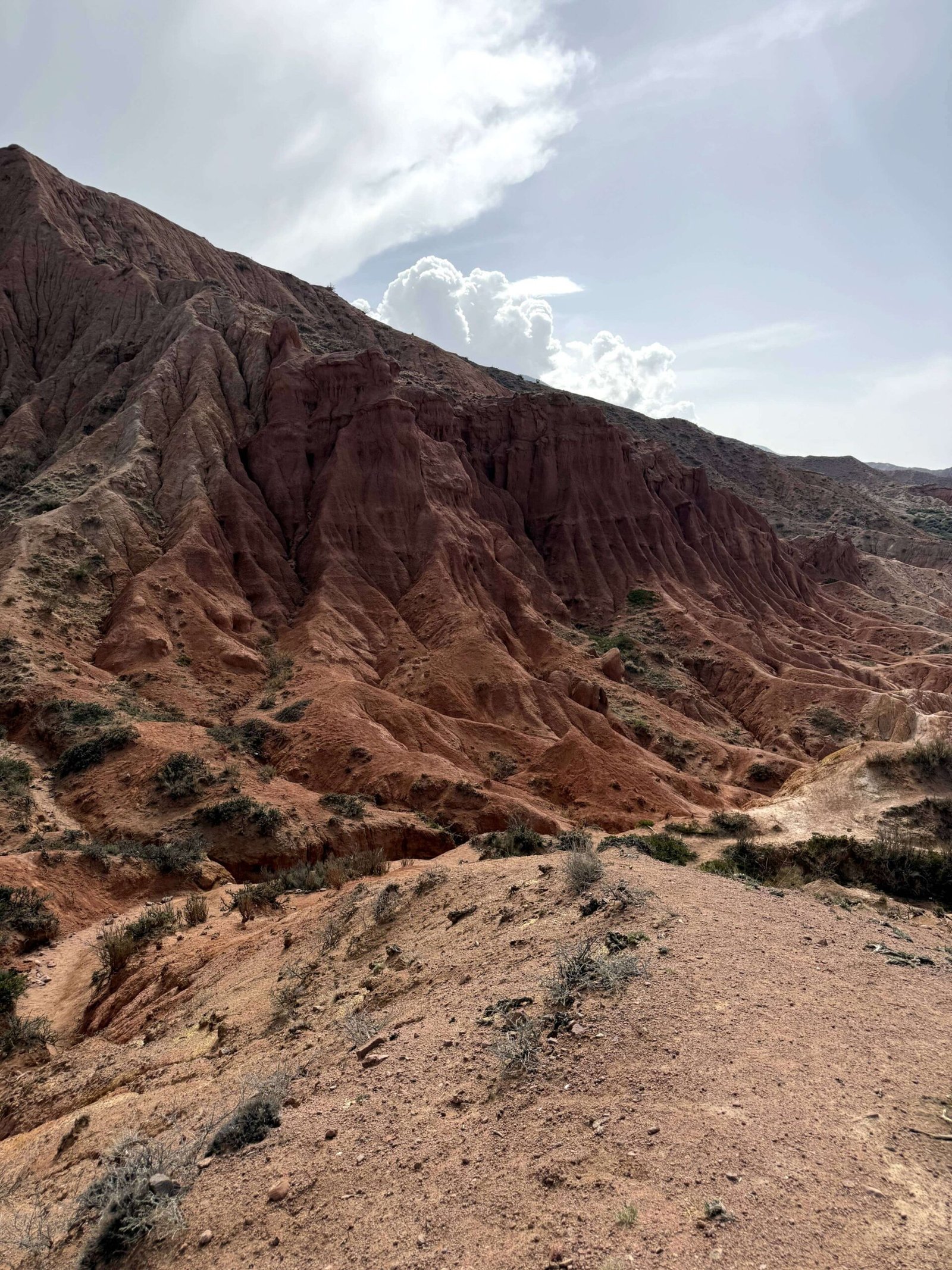 Highlights Of Kyrgyzstan – 5 Days photo 3