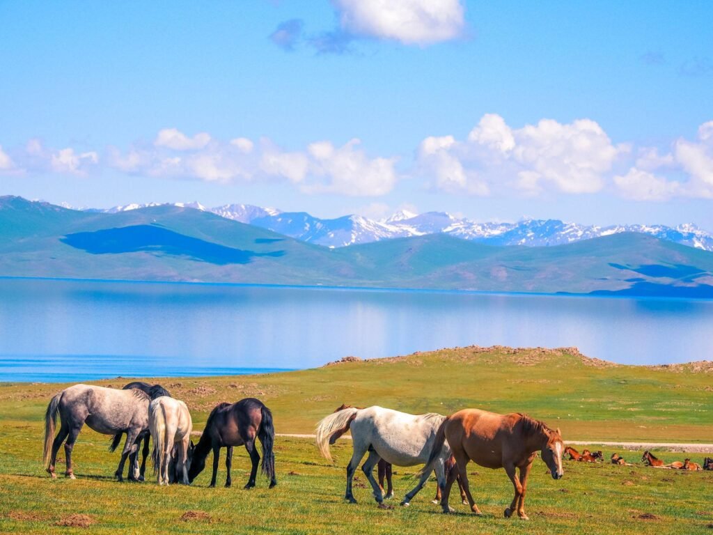 Song Kol Lake – 2 Day Road Trip photo 2
