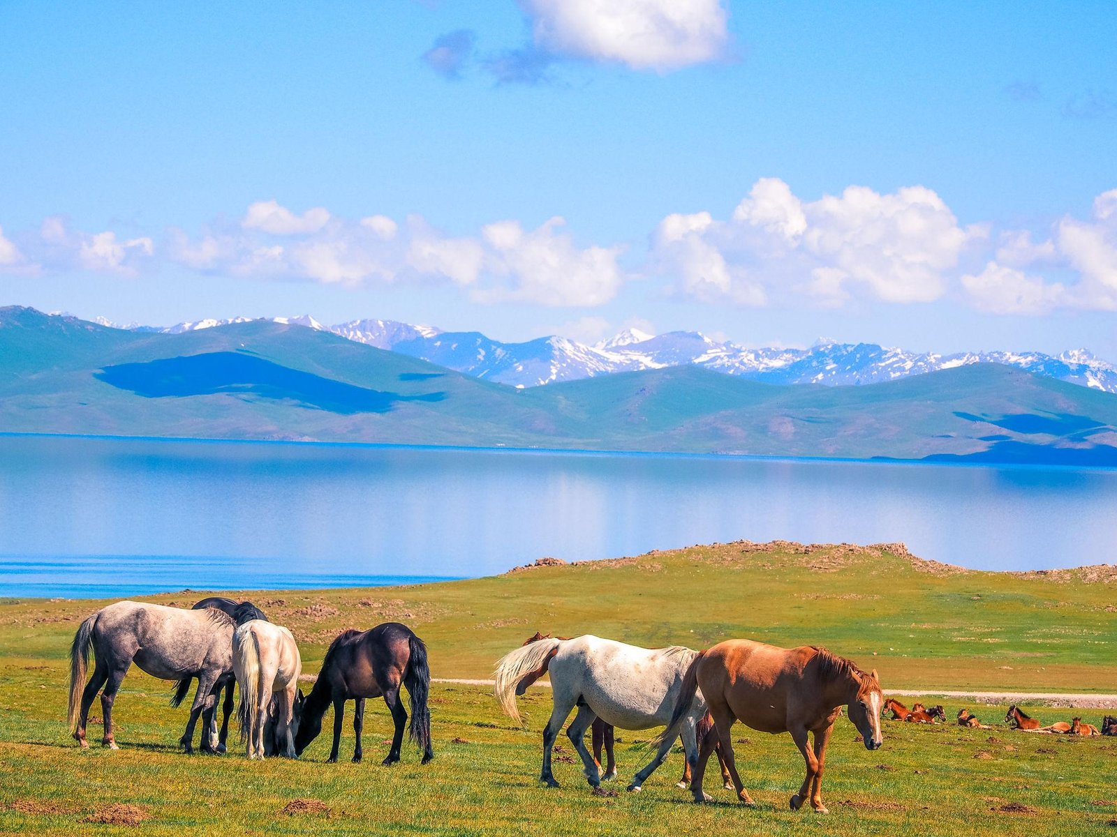 2 Days Road Trip To Song Kol Lake