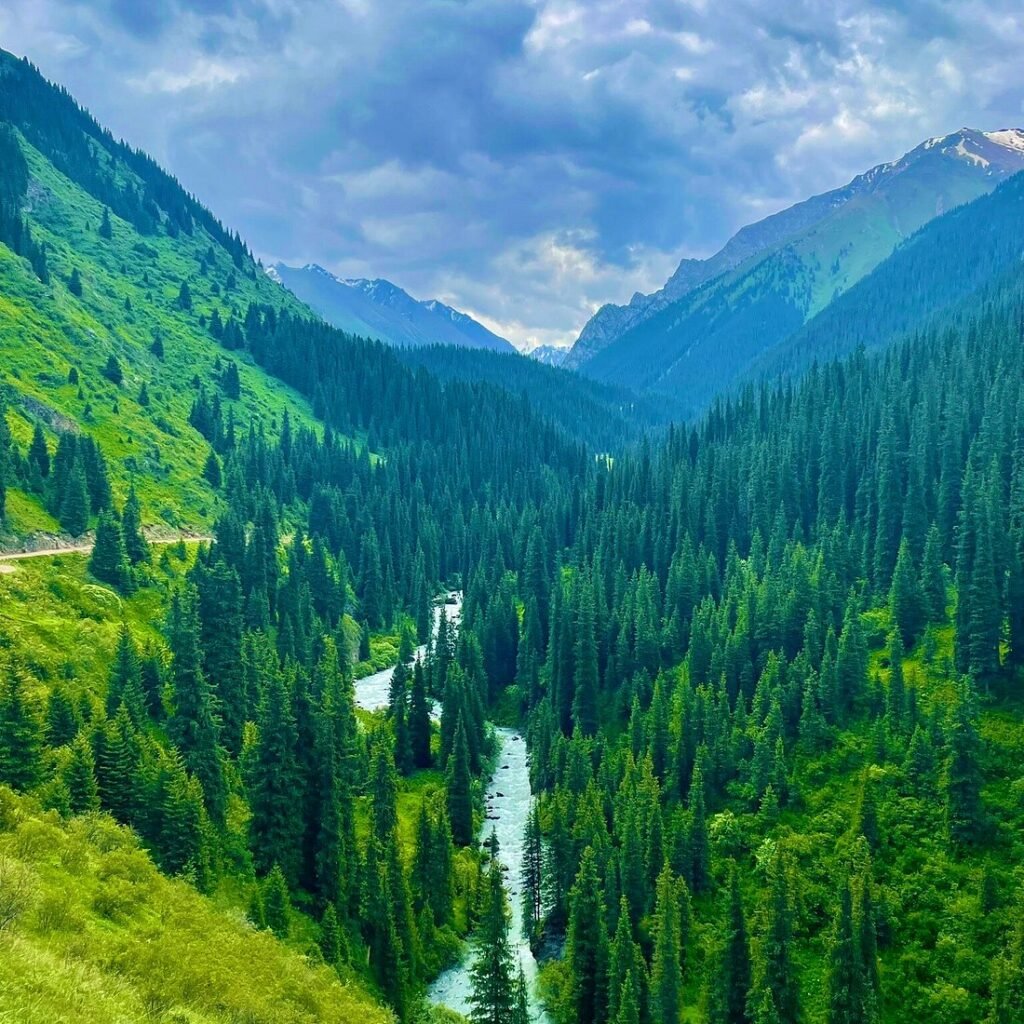 Altyn Arashan Valley photo 11