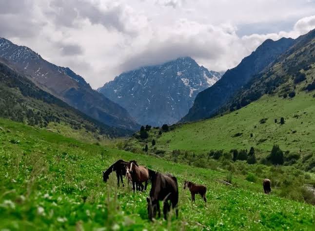 Chon Kemin Valley photo 5