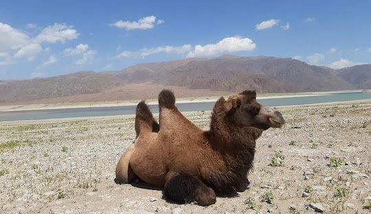 Song Kol Lake – 2 Day Road Trip photo 3