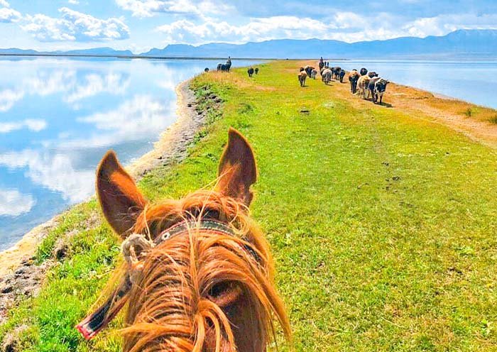 Song-Kol Lake photo 13