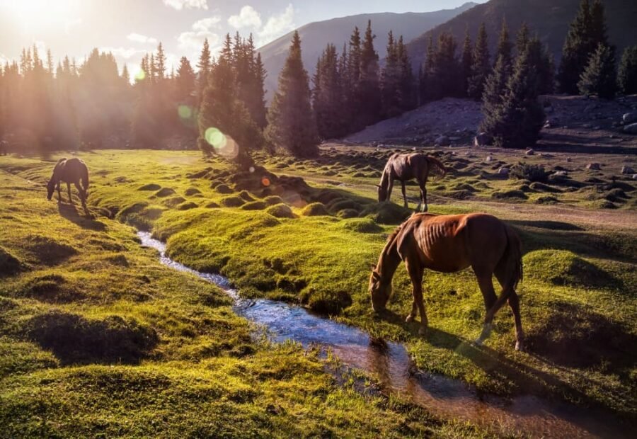 Authentic Kyrgyzstan – 5 Days