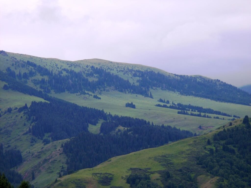 Semenovka Gorge photo 6